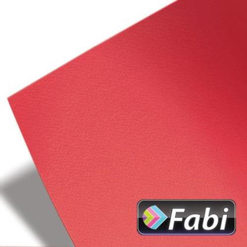 Χαρτόνι Κάνσον Favini 50×70 εκ. 220γρ.