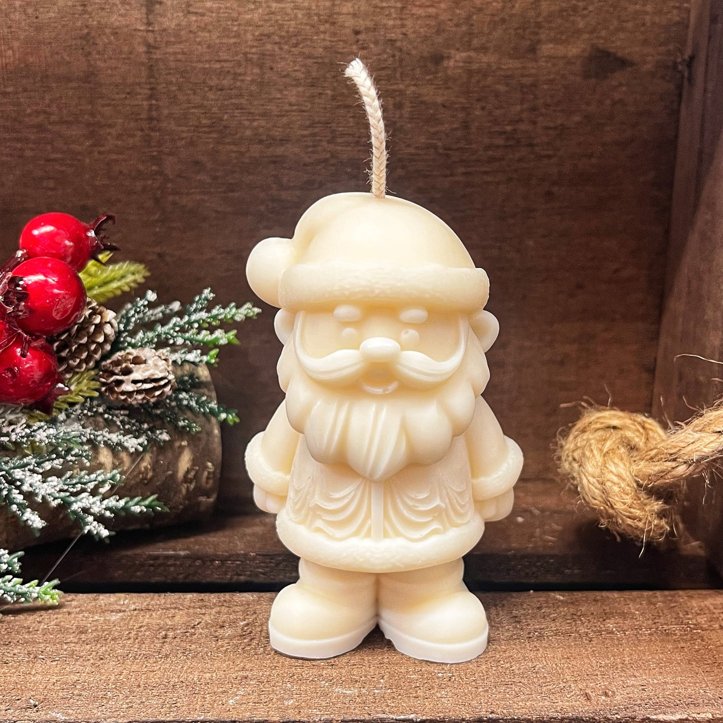 Cute Santa Claus