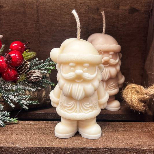 Cute Santa Claus